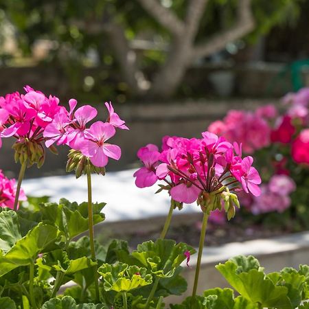 אדאמאס Lina And Babis' Home מראה חיצוני תמונה
