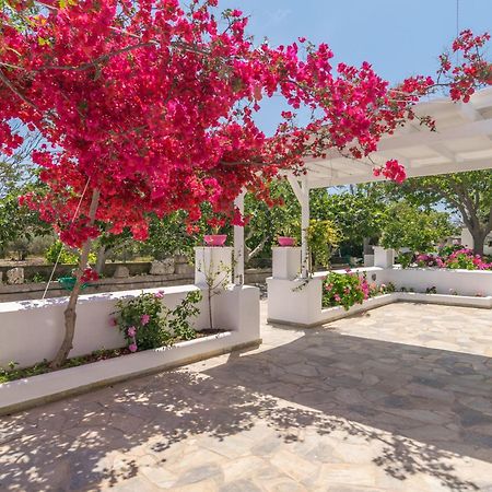 אדאמאס Lina And Babis' Home מראה חיצוני תמונה