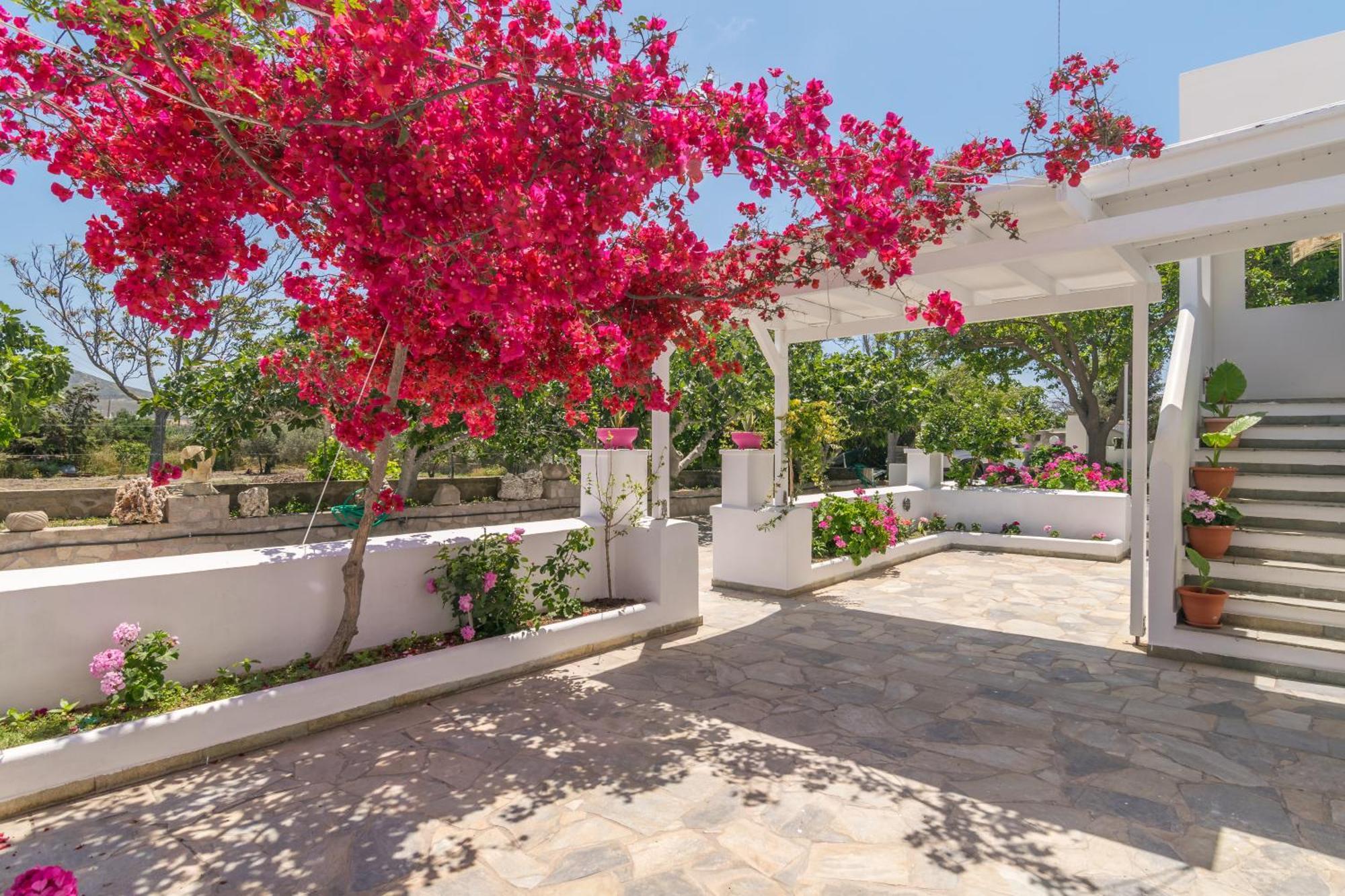 אדאמאס Lina And Babis' Home מראה חיצוני תמונה