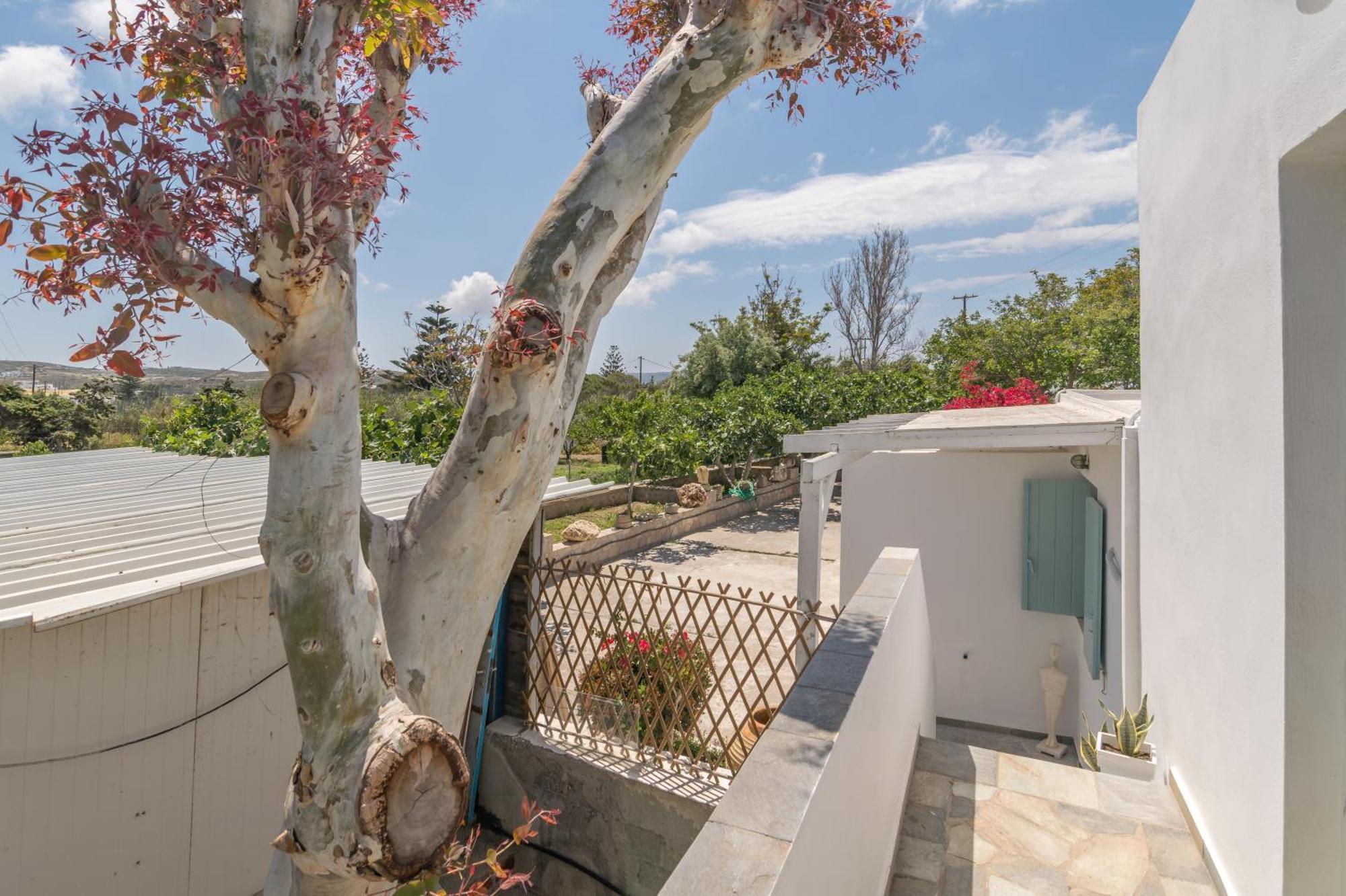 אדאמאס Lina And Babis' Home חדר תמונה