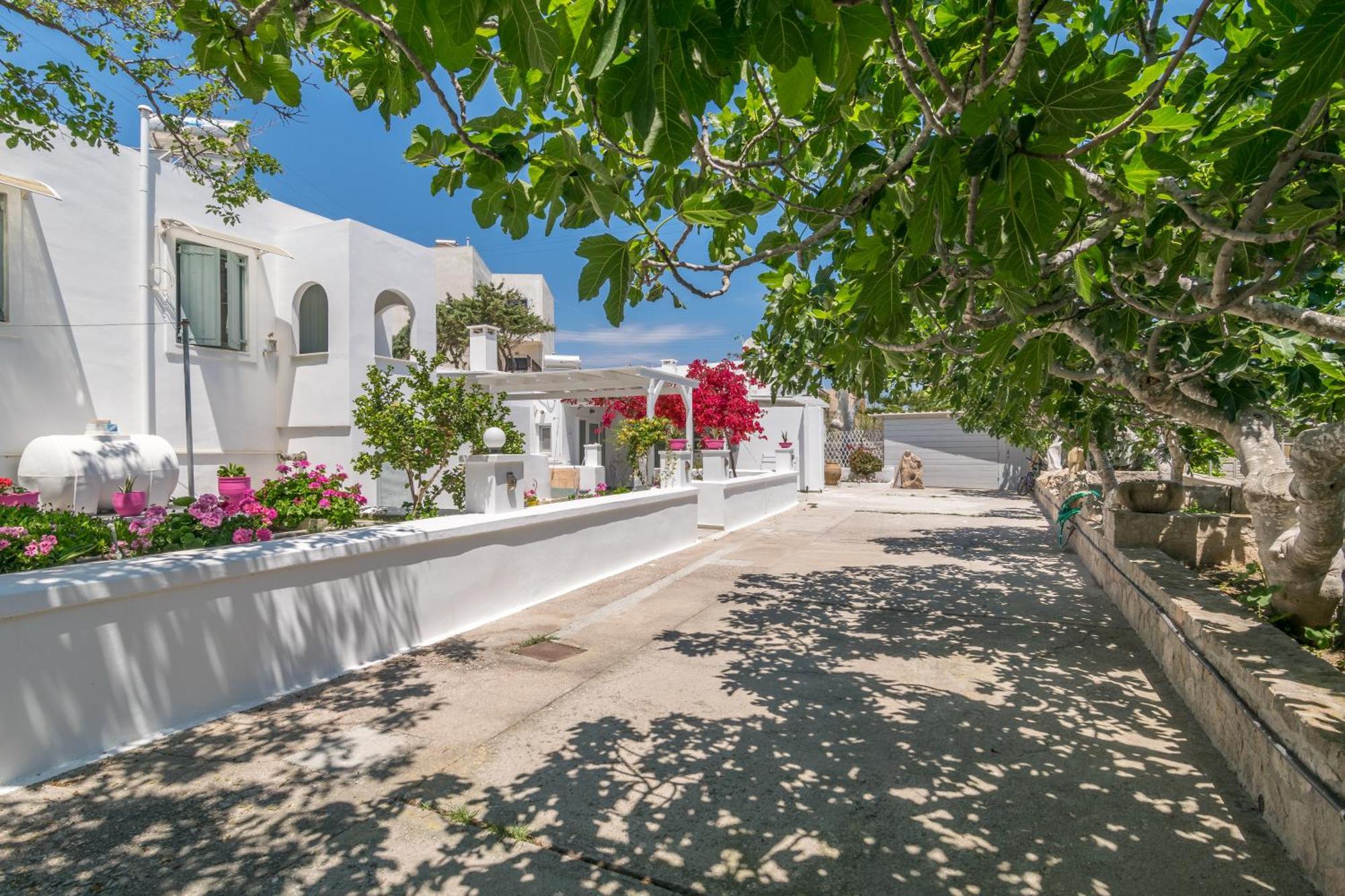 אדאמאס Lina And Babis' Home מראה חיצוני תמונה
